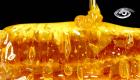 Esta sustancia dulce, natural y viscosa producida por las abejas, esconde un tesoro para la ciencia. Investigadores probaron muestras de distintas flores del país y hallaron que la miel ecuatoriana logra debilitar bacterias resistentes a los medicamentos. Analizamos este avance médico que pone a nuestras abejas en el centro de la salud mundial.