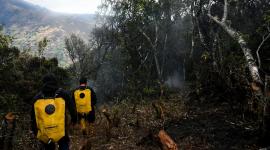 Un incendio forestal afecta a las comunidades de Chuchucán, Celel y La Carbonería, en Cañar.