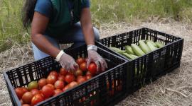 Comer alimentos saludables sin constancia no tiene ningun beneficio.