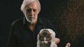 La película ecuatoriana 'Viejos malditos' tiene a un gato como coprotagonista.