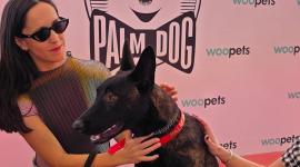 Yuri, de la película 'La Perra' ganó el Palm Dog en Cannes.