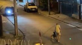 Un adulto mayor y su perro fueron atropellados tras reclamar por disturbios.