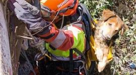 Rocky, quedó atrapado a 40 metros de profundidad en una quebrada de Quito.