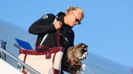 Erling Haaland llega a Noruega con un mapache disecado en brazos