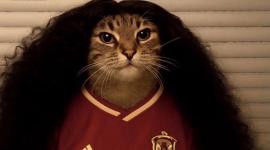 El ‘Gato Cucurella’ sorprende por su parecido con el campeón del mundo