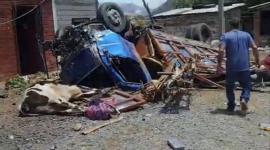 Volcamiento de camión deja un fallecido y varias reses muertas