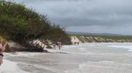 La playa Tortuga Bay cerrará temporalmente