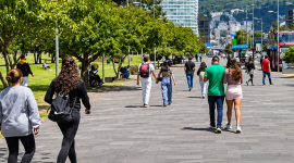 Parejas consultadas por Teleamazonas en Quito señalaron que prefieren alcanzar estabilidad económica antes de casarse.