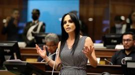 Marcela Holguín en una intervención en el Pleno de la Asamblea Nacional