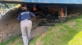La perrita quemada fue atacada por desconocidos el 1 de junio de 2025
