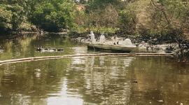 Derrame de contaminantes en la Reserva Manglares El Salado