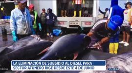 Desde hoy el sector pesquero operará sus flotas sin subsidio al diésel. 
El gobierno oficializa la medida frente a un complejo panorama económico, con el que busca reducir su hueco fiscal.

Vía: Astrid Singre