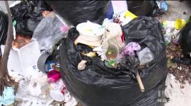 Moradores de la Av. 12 de Octubre, en el centro norte de Quito, solicitan la implementación de recolectores de basura. Aseguran que en las últimas semanas no se ha hecho una adecuada recolección de los desechos sólidos.

Vía: Nathalie Jiménez