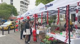 Las ferias de emprendimiento se realizan en Quito para promover la economía local.