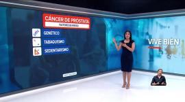 El cáncer de próstata es el tipo de cáncer más frecuente en hombres en Ecuador, según registros de Solca. Esta patología podría ser detectada en etapas tempranas si a partir de los 45 años se realizan los controles adecuados.

Vía: Stephany Paz