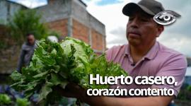 No hace falta vivir en el campo ni tener hectáreas de terreno. Cada vez más personas están transformando patios, balcones e incluso botellas recicladas en pequeños espacios verdes donde brota vida. Con un poco de tierra, semillas y ganas, es posible cosechar todo tipo de frutas, verduras y hierbas, sin químicos, sin intermediarios y con todo el sabor. Lo que empieza como una maceta puede convertirse en una fuente de alimento saludable, ahorro o un ingreso extra. Algunos incluso hacen trueque con lo que cosechan; otros simplemente disfrutan de comer lo que sembraron con sus propias manos. Hoy le mostramos cómo cultivar bienestar en su hogar a través de huertos caseros.
