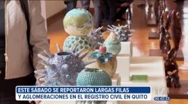 25 artistas inspirados en la asombrosa biodiversidad de Galápagos, presentan en Quito una muestra única.

Vía: Diego Añazco