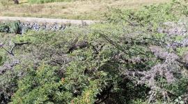 Bomberos rescataron a persona que quedó atrapada en camión tras caer a una quebarada este 18 de junio del 2025.