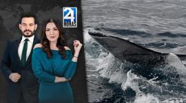 Revise las noticias más destacadas del Ecuador en nuestro Noticiero 24 Horas Emisión Estelar de este domingo 22 de junio del 2025. Con Valeri Villaba y Carlos Sacoto.