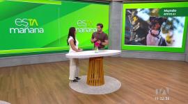 En el segmento 'Mundo Animal', la experta en adiestramiento, Verónica Álvarez, habló sobre el duelo tras la pérdida de una mascota.