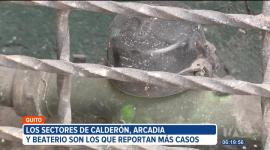 Más de 5 600 medidores fueron robados en el primer semestre del año en Quito. Sectores como Calderón y El Beaterio son los que reportan más casos.

Un reportaje de Juan Miguel Rodríguez