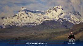 El 2025 fue declarado el año para la preservación de los glaciares, debido a que son ecosistemas en riesgo. Ecuador ha perdido cerca del 50% de su cobertura glaciar en los últimos 50 años.
Un reportaje de Nathalie Jiménez