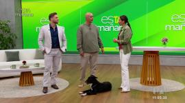 El educador canino, Mauricio Dávila, nos cuenta el por qué no es bueno tratar a las mascotas como si fueran nuestros hijos.