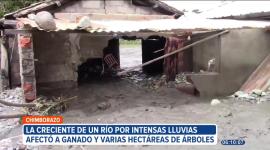 En Chimborazo, la creciente de un río provocada por intensas lluvias arrasó con varias hectáreas de árboles y ganado, que quedaron sepultados bajo agua y lodo.
Un reportaje de Mercedes Chávez