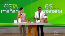 Isabel Espinosa, experta en plantas medicinales, explica que las flores no solo adornan, también sanan.