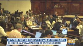 La Ley para el Fortalecimiento de las Áreas Protegidas, impide la privatización de estos espacios, establece beneficios para los vehículos eléctricos y corrige un error en la edad de jubilación.
Un reportaje de Karen Haro