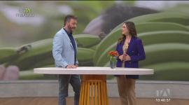 Bolsillos Inteligentes: Ariana Burgos, directora general del Instituto Nacional de Economía Popular y Solidaria (IEPS), habla sobre los préstamos entregados a emprendedores.