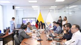 La Comisión de Transparencia de la Asamblea Nacional analizará la actuación de 10 asambleístas de la Revolución Ciudadana.