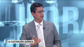 Un análisis con Héctor Yépez, procurador, director Escuela de Gobierno; Dominique Dávila, abogada en derecho penal y constitucional; Xavier Coronel, presidente de la Sociedad de Urología de Ecuador; y Larissa Svistoonoff, psicóloga en salud mental, familiar y adolescencia.
Con Andrés Carrión