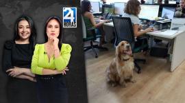 Revise las noticias más destacadas de Quito en la Emisión Central del Noticiero 24 Horas de este lunes 21de julio del 2025. Con Andrea Samaniego y Stephany Paz.