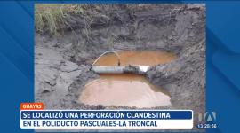 El ejército ecuatoriano detectó y destruyó perforaciones clandestinas de combustible en cuatro provincias del país. En los últimos 4 años, su extracción dejó pérdidas económicas.
Un reportaje de Ericka Vera
