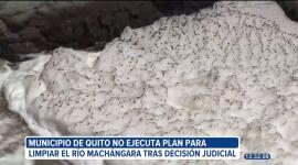 Se cumplió un año de la sentencia judicial que ordenó al Municipio de Quito destinar recursos para un plan de descontaminación del río Machángara. A pesar de esto, la situación sigue igual

Un reportaje de Belén Merizlade