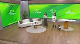 Andrea Gordón, educadora canina, habla de la depresión en mascotas, y las recomendaciones para evitarlas.