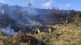 Inamhi alerta riesgo de incendios en la época seca y recomienda tomas previsiones.