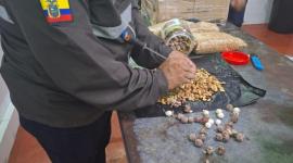 La droga fue detectada en frutos secos que estaba siendo trasladadas en dos frascos de vidrio.