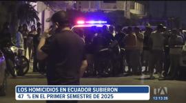 Solo en el primer semestre de 2025, los homicidios intencionales aumentaron un 47 %. El Observatorio de Crimen Organizado advierte una nueva etapa de fragmentación.

Un reportaje de Ismenia Solorzano