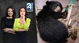Revise las noticias más destacadas de Quito en la Emisión Central del Noticiero 24 Horas de este martes 5 de agosto del 2025. Con Andrea Samaniego y Stephany Paz.