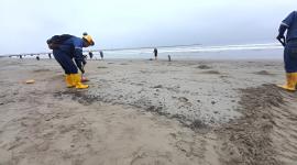 Un derrame de petróleo ocasionó el cierre temporal de una playa de Santa Elena.