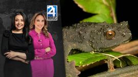 Revise las noticias más destacadas de Quito en la Segunda Emisión del Noticiero 24 Horas de este miércoles 6 de agosto del 2025. Con Andrea Samaniego y Gabriela Galárraga.