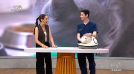 Mundo Animal: Luis Parreno, médico especialista en gatos, explica sobre los cuidados básicos que deben tener estas mascotas en casa.