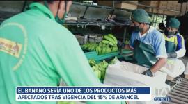 En Ecuador, el banano y las flores constan entre los productos de exportación que más se verían afectados tras la vigencia del arancel del 15%. Ambos sectores esperan con optimismo una reducción de la tarifa.

Un reportaje de Bernarda Cevallos