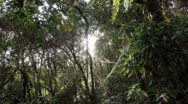 El Refugio de vida silvestre Machay es la nueva reserva natural de Ecuador