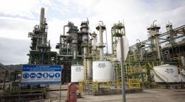 Más de 900 trabajadores de Petroecuador fueron desvinculados por disposición del Gobierno.