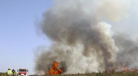 Los brigadistas trabajan en la extinción del Incendio forestal que afecta a Puercas (Zamora), en la Sierra de la Culebra, en España.