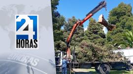 Revise las noticias más destacadas de Quito en la Segunda Emisión del Noticiero 24 Horas de este miércoles 13 de agosto del 2025. Con Andrea Samaniego y Juan Miguel Rodríguez.
