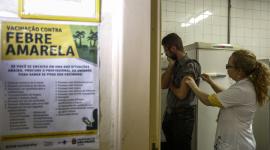 Los brotes de fiebre amarilla golpearon a Sudamérica desde el 2024.